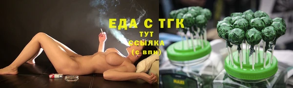 mdpv Богородицк