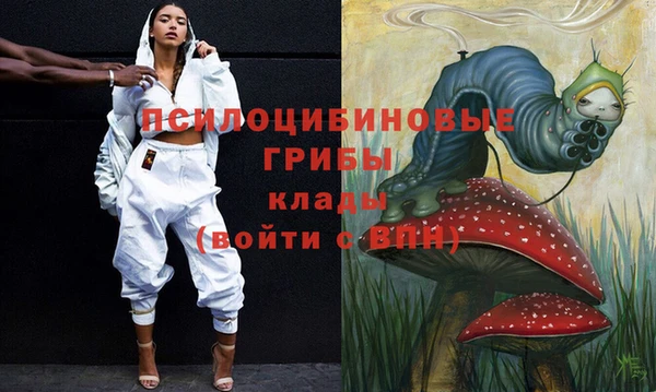 таблы Богданович