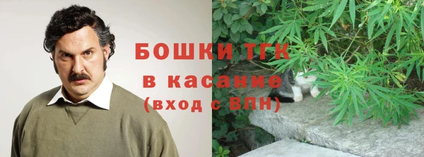 mdpv Богородицк